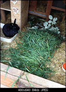 Hier sind die Buddelk�nige!!!-k-img_3292.jpg