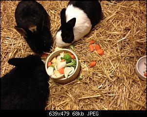 Hier sind die Buddelk�nige!!!-k-img_3347.jpg