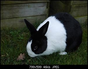 Hier sind die Buddelk�nige!!!-k-p1030447.jpg