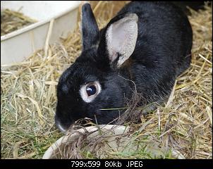 Hier sind die Buddelk�nige!!!-k-p1030383.jpg