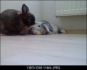 Neu und verzweifelt-steffihandy-033.jpg