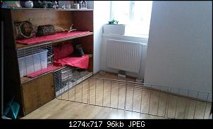 Die Rasselbande :)-20131231_133836.jpg