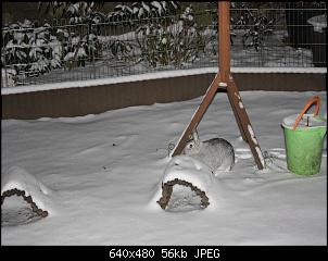 Die Findorffer Gartenzwerge stellen sich vor-0017.jpg
