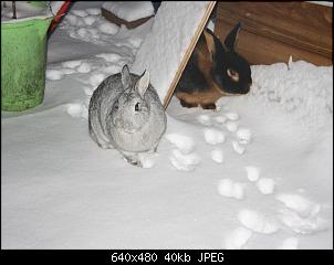 Die Findorffer Gartenzwerge stellen sich vor-0018.jpg