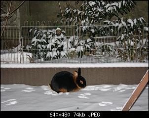Die Findorffer Gartenzwerge stellen sich vor-0028.jpg