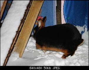 Die Findorffer Gartenzwerge stellen sich vor-0042.jpg