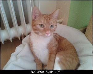 Dier ersten Tage von Lola+Jo-060.jpg