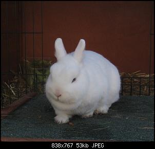 Schoki + Molly-img_6421.jpg