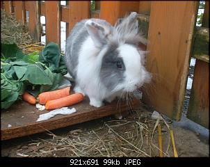 Hoppel Sophia und Jearmy!!!-sam_7304.jpg