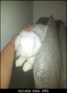 Allerseits hallo-img-20140207-wa0002.jpg
