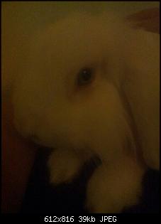 Allerseits hallo-img-20140207-wa0000.jpg