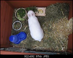 Schoki + Molly-img_6454.jpg