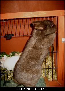 Schoki + Molly-img_6467.jpg