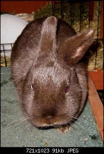 Schoki + Molly-img_6468.jpg