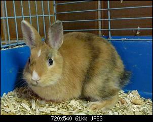 Klicke auf die Grafik f�r eine gr��ere Ansicht

Name:	1456765_620872934644009_1556241672_n.jpg
Hits:	74
Gr��e:	61,1 KB
ID:	27714