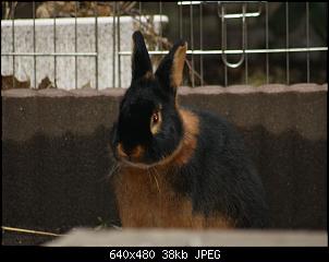 Die Findorffer Gartenzwerge stellen sich vor-k-07.jpg
