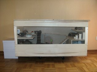 Name:  BILD0702.JPG
Hits: 253
Gr��e:  36,0 KB