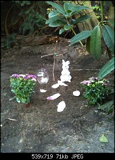 Fee,Balou,Manni und Schrecki!-rip-lia.jpg