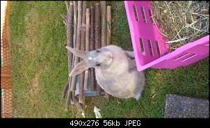 Drei M�dels unter sich =)-3551374591366730.jpg