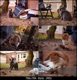 Mona und die Monster-kombininchen5er1.jpg