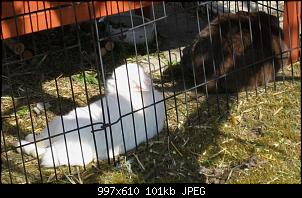 Schoki + Molly-img_6550.jpg