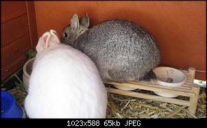 Schoki + Molly-img_6620.jpg