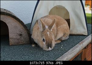 Hall�le-img_2180.jpg