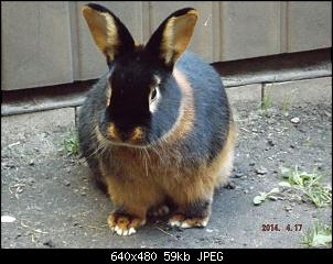 Die Findorffer Gartenzwerge stellen sich vor-k-dscf0121.jpg
