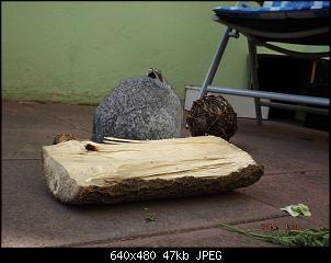 Die Findorffer Gartenzwerge stellen sich vor-k-dscf0169.jpg