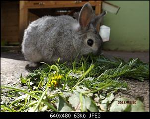 Die Findorffer Gartenzwerge stellen sich vor-k-dscf0173.jpg