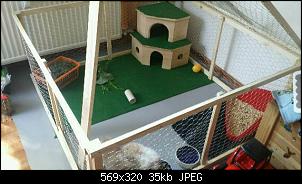 Schnuffel und Lotti-img20140422_101922-1.jpg