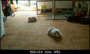 Schnuffel und Lotti-img20140423_120816-1.jpg