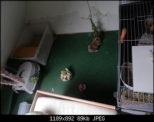 Pandora82 und ihr Zoo-p4260580k.jpg
