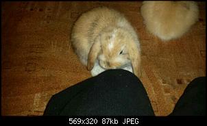 Schnuffel und Lotti stellen sich vor-img20140428_111404-1.jpg