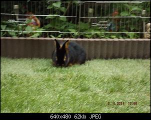 Die Findorffer Gartenzwerge stellen sich vor-k-dscf0344.jpg