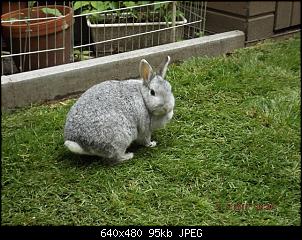 Die Findorffer Gartenzwerge stellen sich vor-k-dscf0349.jpg