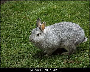 Die Findorffer Gartenzwerge stellen sich vor-k-dscf0359.jpg