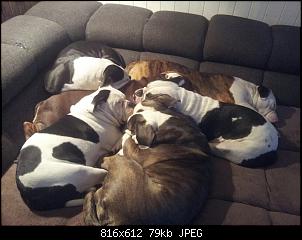 Moin Moin alle zusammen-10291303_639235929490753_1199992378112260228_n.jpg