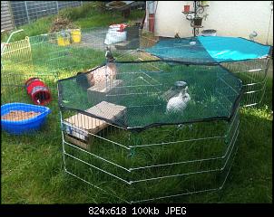Unsere 2, Vorstellung der S��en-img_2186.jpg
