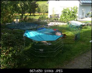 Unsere 2, Vorstellung der S��en-img_2187.jpg