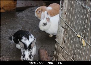 Hallo, bin neu hier-img_2625.jpg