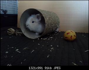 Pete und sein M�hrchengeber-20140519_200107.jpg