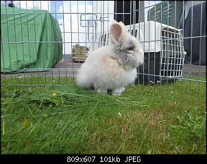 Pete und sein M�hrchengeber-20140525_131221.jpg