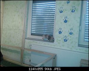 Lamyla�s H�schen-059.jpg
