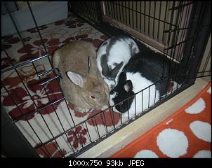 Roger, Lana und Juri-dscn3152.jpg