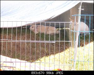 Unsere 2, Vorstellung der S��en-dsci0343.jpg