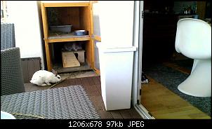 Winnetous Vorstellung-bild031.jpg
