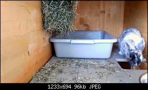 Winnetous Vorstellung-bild037.jpg