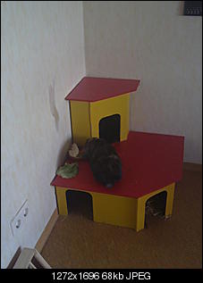 Hallo an alle-12092010020.jpg