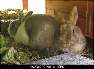 Shorty + Tabsi, die Nins von der Alb-img_7124.jpg